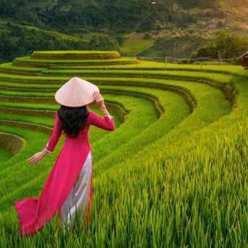 Vietnam Tour For 9 Days / 8 Nights