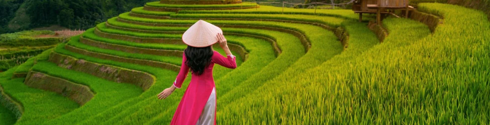 Vietnam Tour For 9 Days / 8 Nights