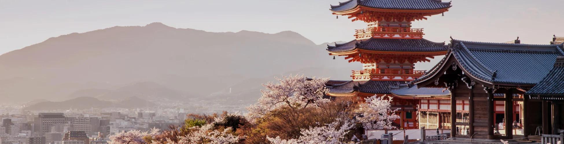 Explore the Best of Japan in 7 Days