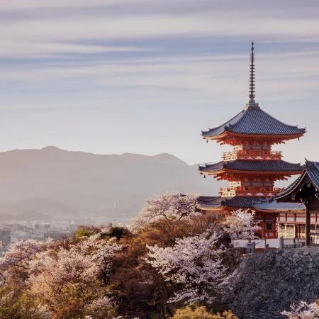 Explore the Best of Japan in 7 Days